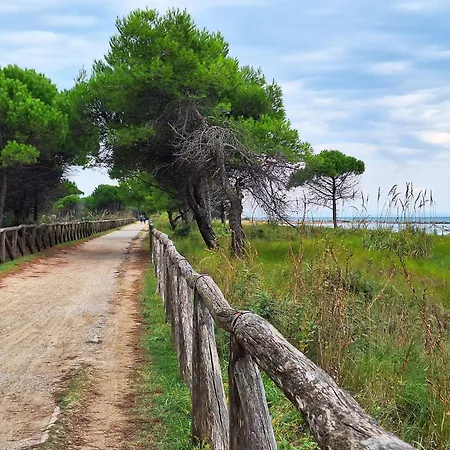 Comfortable Close To The - Beahost Apartment Bibione